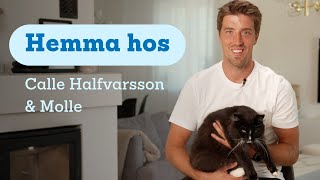 Hemma hos Skidstjärnan Calle Halfvarsson och skogkatten Molle [upl. by Ahseila]