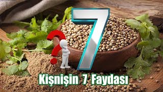 Kişnişin 7 İnanılmaz Faydası [upl. by Kellene351]