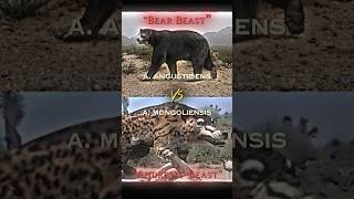 Andrewsarchus VS Arctotherium amp Smilodon VS Daeodon edit prehistoricanimals 1v1 [upl. by Anilra526]