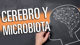 ¿Qué conexión tienen EL CEREBRO y LA MICROBIOTA [upl. by Gunter]