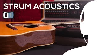 NI Komplete 11 Strum acoustics [upl. by Aspa]