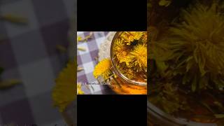 Why Is It Beneficial to Drink Dandelion Flower Tea for Your Health [upl. by Duane]