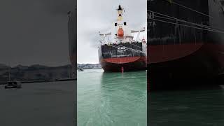 Ferry port Newzealand [upl. by Aserahs]