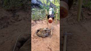 Survival Skills SIMPLE and USEFUL withTrap frogs Using a 150 m bottle camping outdoors [upl. by Candless]