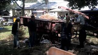 Rough and Tumble Threshing at the August Reunions [upl. by Cappella]