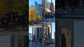 Toronto Waterfront Marathon 🏃‍♂️🏃‍♀️shortsvideo torontocanada torontoevents [upl. by Bethany107]