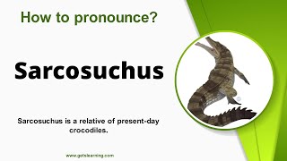 How to pronounce Sarcosuchus in English Correctly [upl. by Clerk]