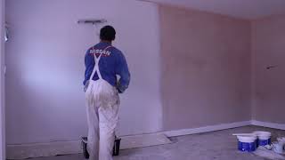 Top tips for painting new plaster walls with emulsion paint  water based [upl. by Unhsiv]