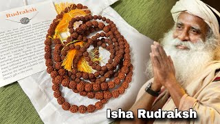 Unboxing Isha Rudraksh Mala  Authentic Spiritual Yantra [upl. by Carnahan264]