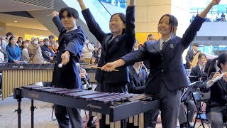 昭和学院中学校高等学校 吹奏楽部「道化師のギャロップ 」 第26回全日本高等学校吹奏楽大会 [upl. by Drogin]