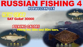 RUSSIAN FISHING 4  Norwegian Sea  NEW GEAR  SAT Goliaf 30000 And some nice fish [upl. by Carolan]