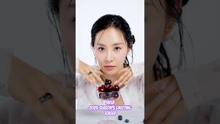 SNSD 2025 SEASON’S GREETING Teaser [upl. by Rekcut]