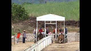 LA HUICHOLA VS LA BAYA [upl. by Aramas]