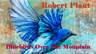 Robert Plant  Bluebirds Over the Mountain [upl. by Gosselin321]