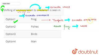 Shifting of ammonotelism to ureotelism is seen in [upl. by Alta]