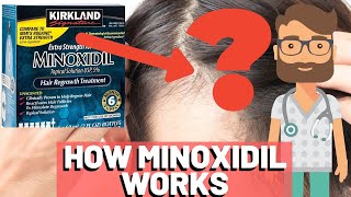 How Does MINOXIDIL Work SCIENTIFIC GUIDE [upl. by Ameekahs]