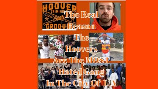 “The Real Reasons Why The Hoovers Are The Most Hated Gang In Los Angeles” 🍊 [upl. by Anneh961]