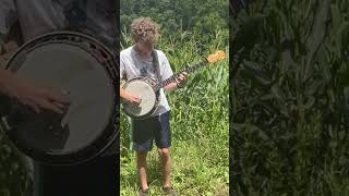 Shuckin the Corn … in the corn 🌽 🪕 youtubeshorts bluegrass gibsonbanjo banjo shuckinthecorn [upl. by Francklyn]