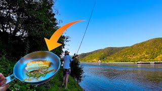 Angeln auf Zander am Rhein mit Grundeln als Köderfisch  Catch and Cook  Bis es beißt Ep 3 [upl. by Howard]