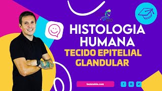 Histologia Humana  Tecido Epitelial Glandular [upl. by Yanaton]