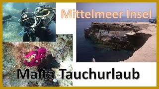 Tauchen Gozo Malta 27  1672018 Diving by calypsodivers [upl. by Drolet447]