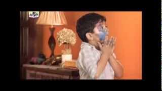 Berger Easy Clean  Siblings TVC  Hindi  2014 [upl. by Gorey]