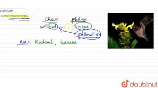 Define chiropterophily  12  SEXUAL REPRODUCTION IN FLOWERING PLANTS  BIOLOGY  SANTRA PUBLIC [upl. by Bautista]