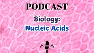 Biology Nucleic Acids [upl. by Porta]