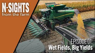 Wet Fields Big Yields [upl. by Ultun]