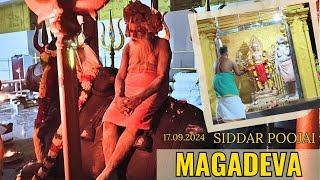 NANDHI POOJAI I SIDDAR POOJAI I MAGADEVA I [upl. by Janella]