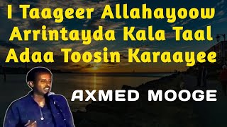 axmed mooge tiiraanyo  arintaydan kala tal  i taageer allahayow  axmed mooge taageer allahayow [upl. by Vey]