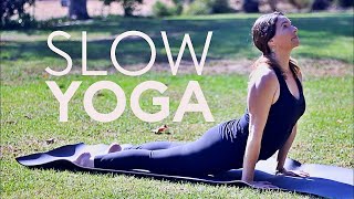 20 Minute Yoga Slow Flow Vinyasa Stretch Core Strength  Fightmaster Yoga Videos [upl. by Odragde]