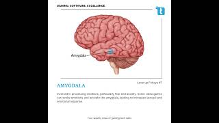 Level Up Fridays 7 Neurology of Gaming [upl. by Dyann54]