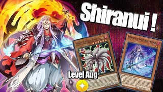 DA BEST SHIRANUI DECK MAY 2020 w Marz YuGiOh Duel Links [upl. by Perri]