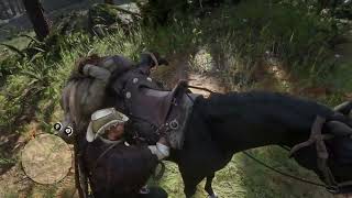 Red Dead Redemption 2 Elias Green alive or deadbut with cheats [upl. by Adelaide254]