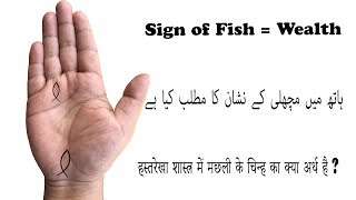 The Fish Sign  Machli Ka Nishaan  Palmistry in Hindi  Palmistry in Urdu [upl. by Buskus]