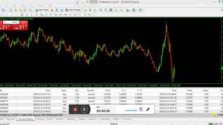 Trading La crisi non esiste parte 2 [upl. by Awram]