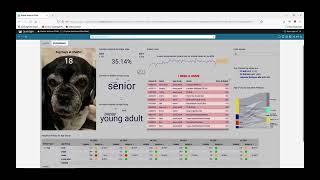 2022 QuickSight Learning Series Build your first QuickSight dashboard [upl. by Ailemor130]