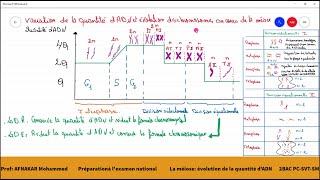 2Variation de la quantité dADN et aspect des chromosomes au cours de la méiose [upl. by Suruat]