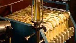 How Vegetable Oil Is Made [upl. by Ramyar]