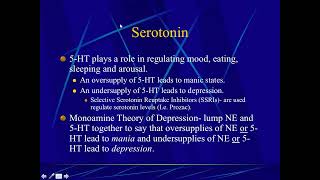 The Big Six Acetylcholine Serotonin Norepinephrine Dopamine GABA and Glutamate [upl. by Ariayek877]