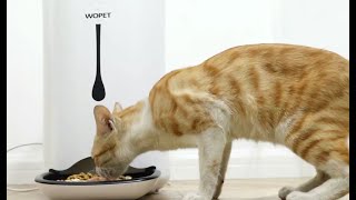 Wopet Automatic Pet Feeder F01 [upl. by Thorpe]