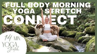 14 min Morning Connect  Full Body Yoga Stretch  Arrive Yoga [upl. by Iniretake115]