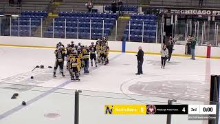 North Stars 14U AA vs Pittsburgh Arctic Foxes [upl. by Maiocco]