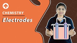 Electrodes  Chemistry [upl. by Edalb389]