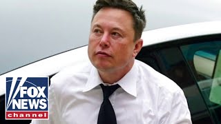 Why is Elon Musk suing Media Matters [upl. by Marie-Jeanne]