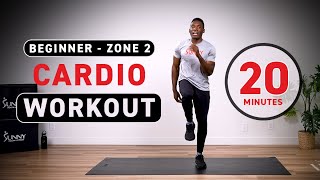 Beginner Zone 2 Cardio Workout  BODYWEIGHTNO EQUIPMENT  20 Minutes [upl. by Keeryt35]