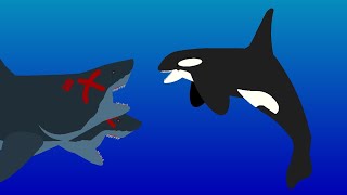 2 head shark vs orca Animação Stick Nodes [upl. by Mcmahon]