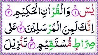 Surah Yasin DailyOnline Quran [upl. by Arnie]