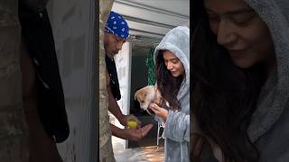 Jackie Shroff Feeds Haldi Milk To His Doggo In This CUTE Video 🥹  shorts dog bollywood [upl. by Nolyaj]